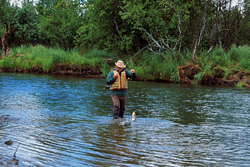 A fisherman in the Alaskan wilderness with a rainbow trout on the riverbank