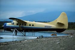 Encounter with bears at the Floatplane in the Alaskan wilderness