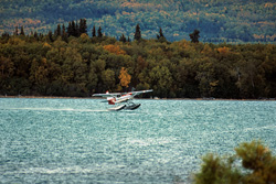 A bush plane lands on the scenic Brooks River in Alaska