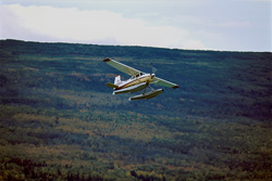 Unique aerial shots with the bush plane above the Brooks River in Alaska