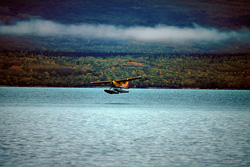 Discover the Fascinating Bush Plane in the Wilderness of Alaska