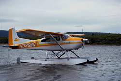 Unforgettable Experiences with the Bush Plane in the Wilderness of Alaska