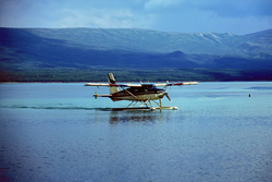 Explore the Untouched Wilderness of Alaska with a Bush Plane