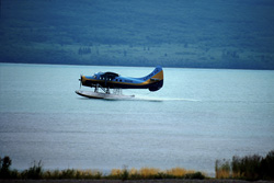 Fascinating Water Plane Adventure in Alaska at Brooks River