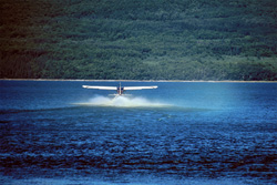 Adventure with the Bush Plane: Explore the Untouched Wilderness of Alaska