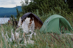Experience Pure Nature - Camping at the Picturesque Lake Coville in Alaska