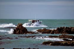 Diving boat from Andre Hartman ready for thrilling shark diving adventure near Dyer Island in South Africa