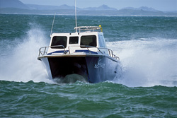 Spannende Hai-Begegnungen mit Andre Hartman's Tauchboot vor Dyer Island