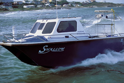 Diving Boat by Andre Hartman - Encounter with Great White Sharks near Dyer Island