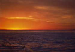 Romantic Sunset over the Ocean off Dyer Island, South Africa