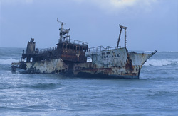 Dramatic story of the wreck of the Meisho Maru 38 at Needle Cape