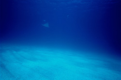 Explore the fascinating Spiral Cave at the Sea Bottom