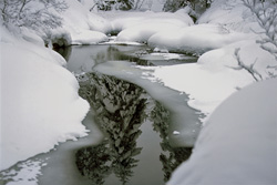 Idyllic Winter Creek in Mittenwald, Bavaria, Germany - Pure Nature!