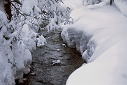 Idyllic snowy stream in winter Mittenwald, Bavaria - Beautiful winter landscape