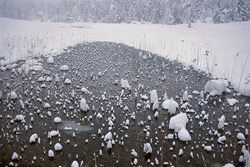 Magical Highland Moor in Winter Bavaria - Natural Beauty in its Purest Form