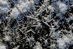 Winter wonderland in the high moor of Bavaria - impressive natural landscape