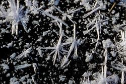 Magical Winter Highland Moor - Explore the Beauty of the Snowy Landscape