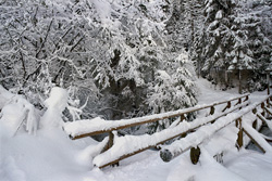 Romantic snow-covered brook bridge in Mittenwald, Bavaria - Idyllic winter landscape