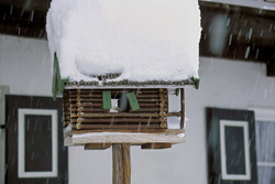 A Fairytale Scene: Snow-Covered Bird House in Mittenwald