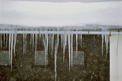 Fascinating icicles on a cold winter day