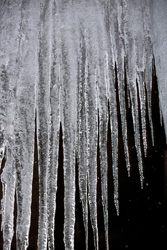 Winter Moods