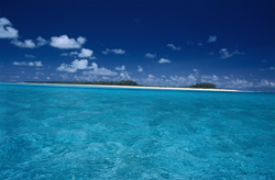 Fascinating Wealth of Fish in the Clear Water of the Lagoon