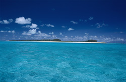 Explore the fascinating world of giant trevally on Midway Atoll, Hawaii