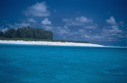 Explore the Picturesque Midway Island and its Turquoise Lagoon