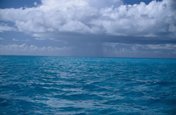 Dramatic thunderstorm mood over the Midway Lagoon - A glimpse into untouched nature