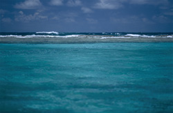 Experience turquoise lagoon and open sea at Midway Atoll