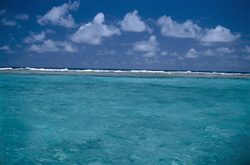 A lagoon with crystal-clear water in a remote Midway Atoll. The white breakers mark the transition from the lagoon to the open sea.
