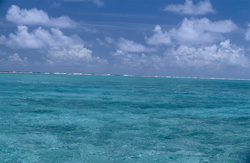 Contrasting scenery at Midway Atoll: breakers and lagoon boundary