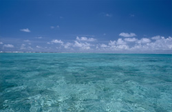 Unique lagoon on Midway Atoll with fascinating play of colors in the water