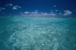 A lagoon with crystal-clear water in the remote and exposed Midway Atoll. The open sea begins at the white breakers on the horizon.