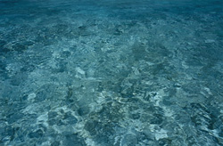 Erkunden Sie die kristallklare Lagune des entlegenen Midway Atolls