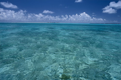 Dreamy South Sea Lagoon on the Edge of the Open Ocean with Impressive Natural Beauty