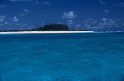 Paradiesische Südseeinsel mit kristallklarem Wasser und exotischer Natur
