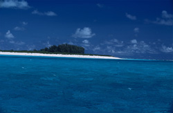 Traumhafter Strand und türkises Wasser - Entdecken Sie das Midway-Atoll
