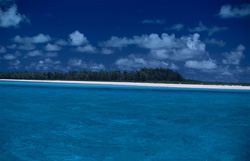 Idyllische Lagune auf dem Midway-Atoll: Ein Paradies in der Südsee