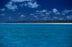 Erleben Sie die unvergleichliche Schönheit der Südsee auf Midway Atoll