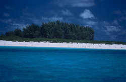 Breathtaking View of a Tropical Island in the Midway Atoll