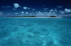Erleben Sie die unberührte Schönheit der Südsee auf dem Midway Atoll in den Hawaiian Islands, USA