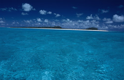Discover the Untouched Beauty of Midway Island in the Pacific