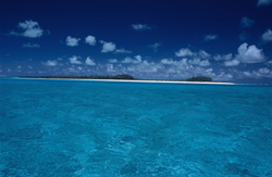Explore the untouched beauty of Midway Atoll in the South Seas