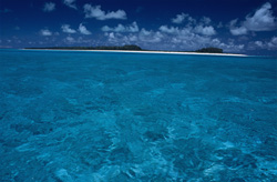 Entdecken Sie die Schönheit des Midway Atolls im Nordpazifik