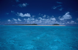 Erkunden Sie die traumhafte Südseeinsel Midway Atoll mit glasklarem Wasser und malerischem Strand