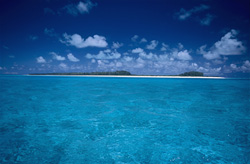 Entdecken Sie die unberührte Schönheit des Midway Atolls im Nordpazifik