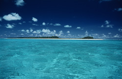 Dreamy South Sea Setting on Midway Atoll: A Paradise in the Pacific
