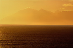 Experience the magical evening mood and fascinating whale watching in the Walker Bay