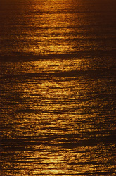 Coucher de soleil romantique à la Walker Bay en Afrique du Sud